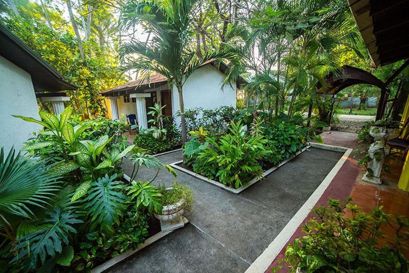 Hotel Hibiscus Cabina 4 Playa Junquillal Ngoại thất bức ảnh